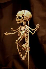 Скелет смайлики